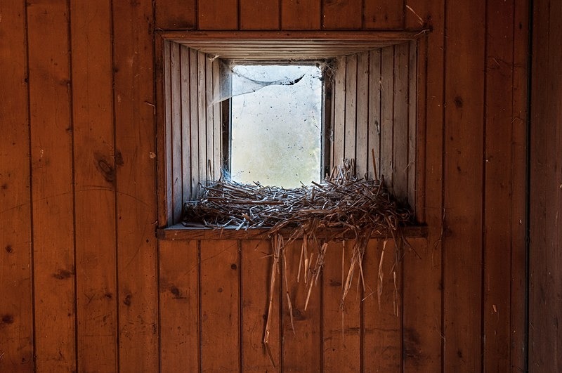  - Panes of Abandonment. Aberdeenshire