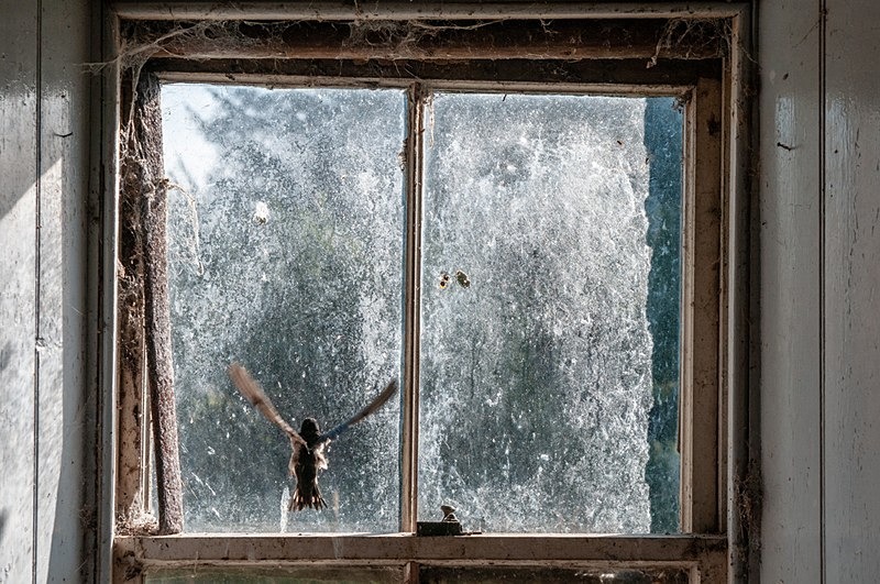  - Panes of Abandonment. Aberdeenshire