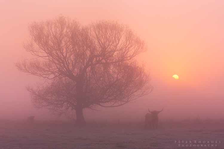 Highland Dawn - Landscape