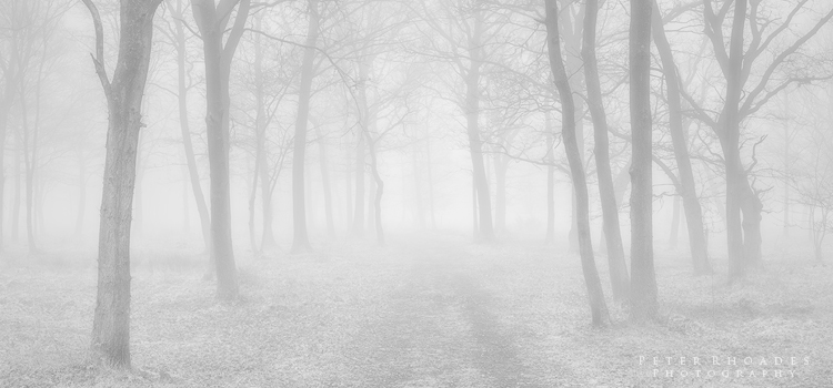 Misty Track - Panoramic Landscapes