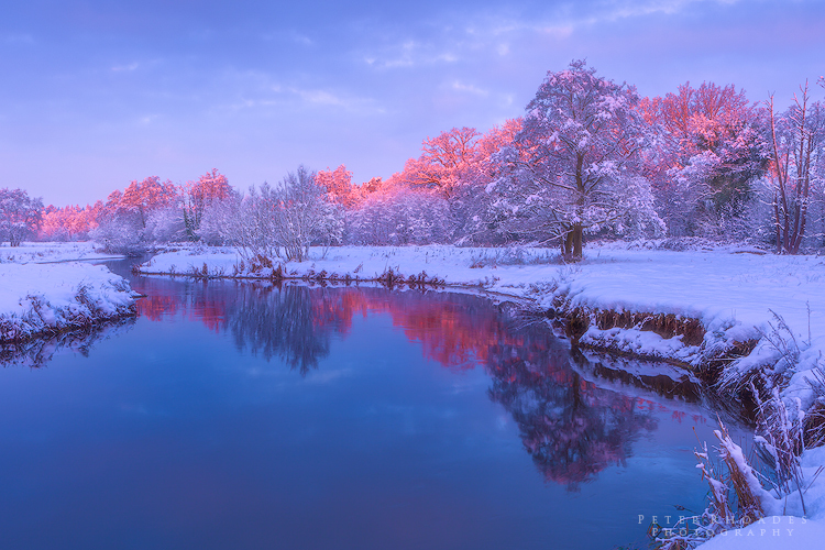 River Wey - Landscape