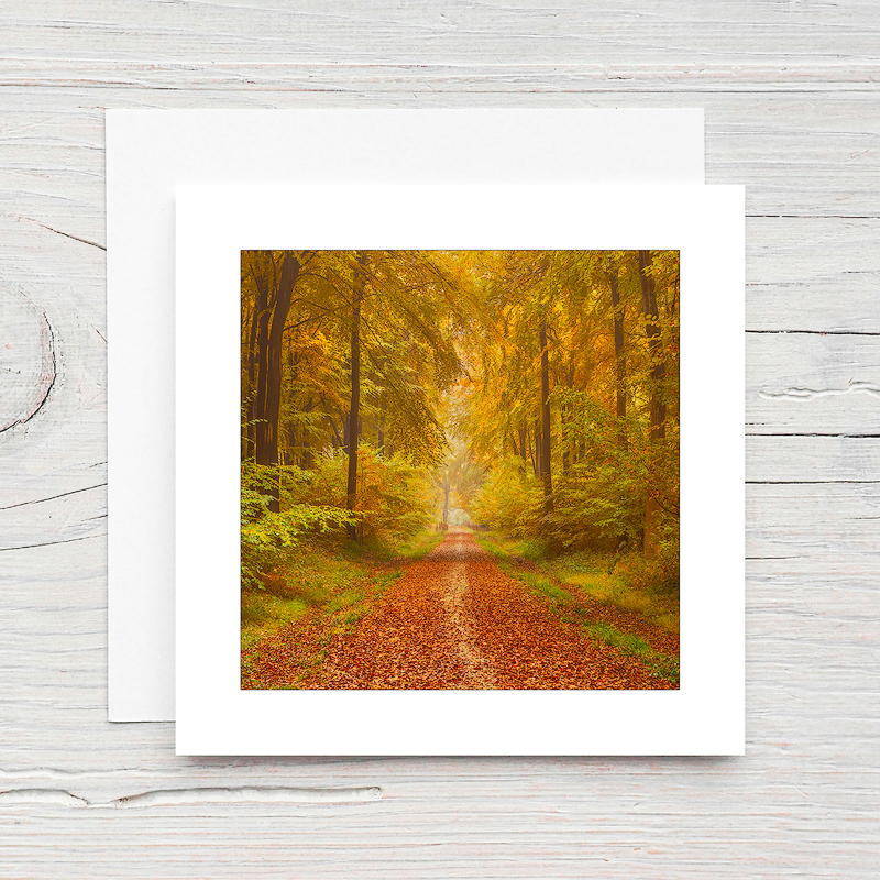 Autumn Track - Greeting Cards