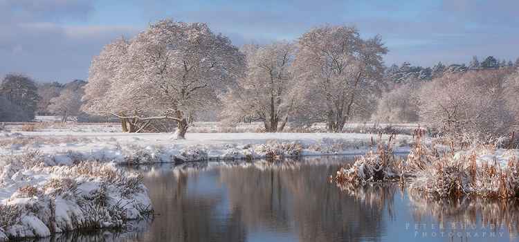River Wey - Panoramic Landscapes