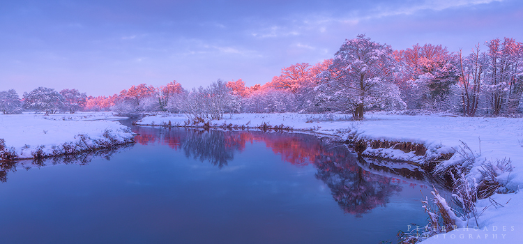 River Wey - Panoramic Landscapes