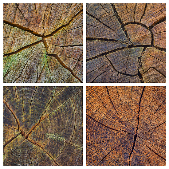 Wood Cracks - Collections