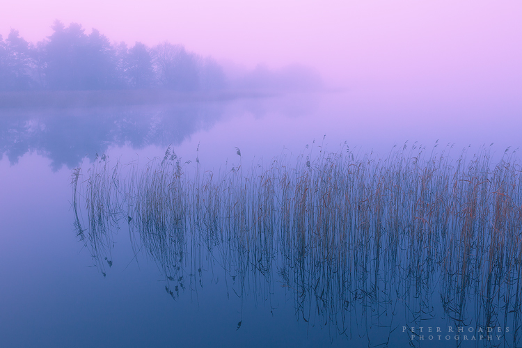 Frensham Pond - Landscape