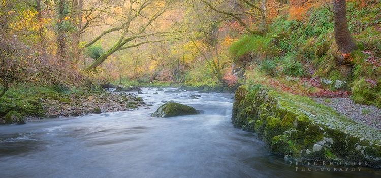 Autumn River - Panoramic Landscapes