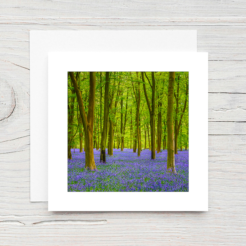 Bluebell Wood - Greeting Cards