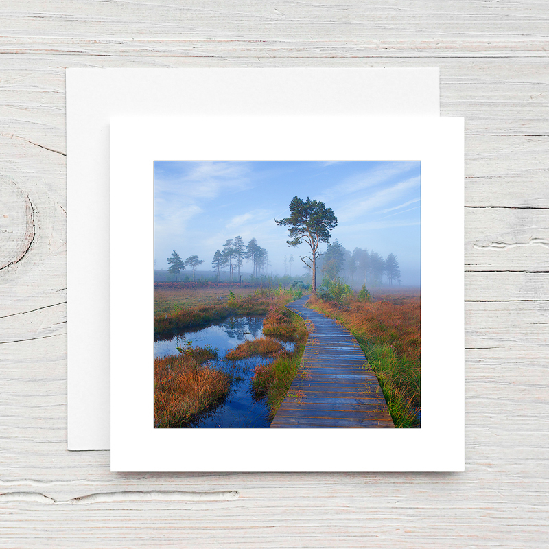 Thursley Common - Greeting Cards