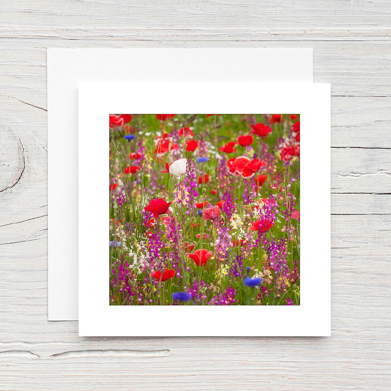 Poppies - Greeting Cards