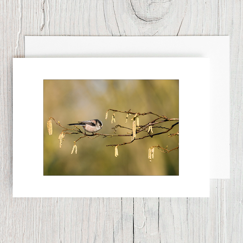 Long Tailed Tit - Greeting Cards