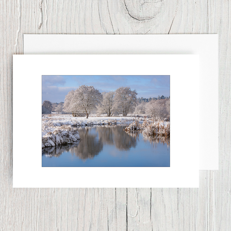 Winter Alders - Greeting Cards