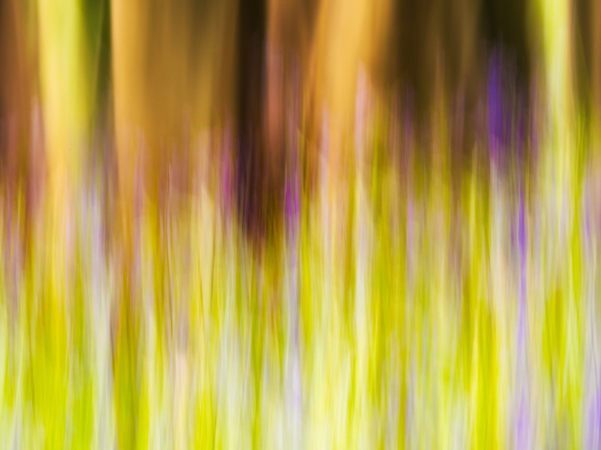 _5050054 - Abstract