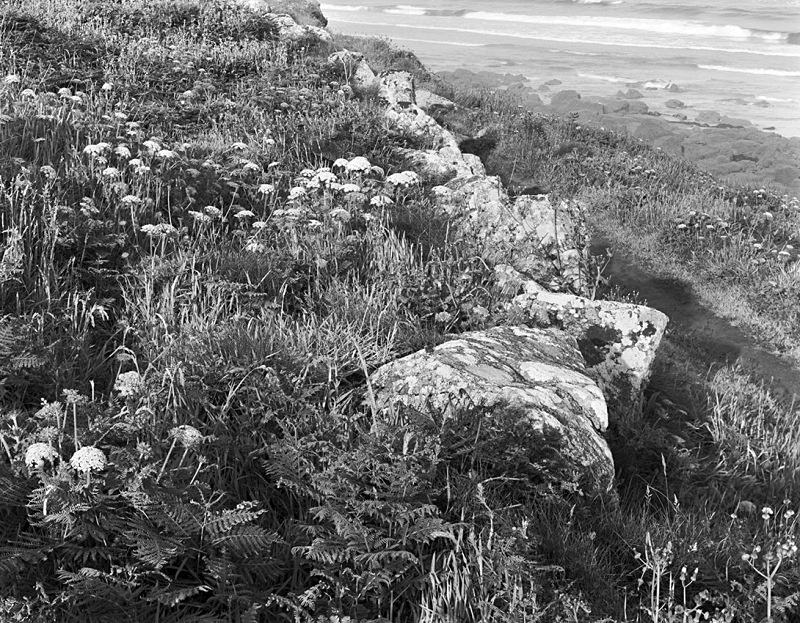 0564 - The Foot of Escalls Cliff - Images from England