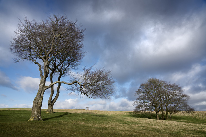 Day 11 - The Two Trees - The Cotswold Way - 2017/8
