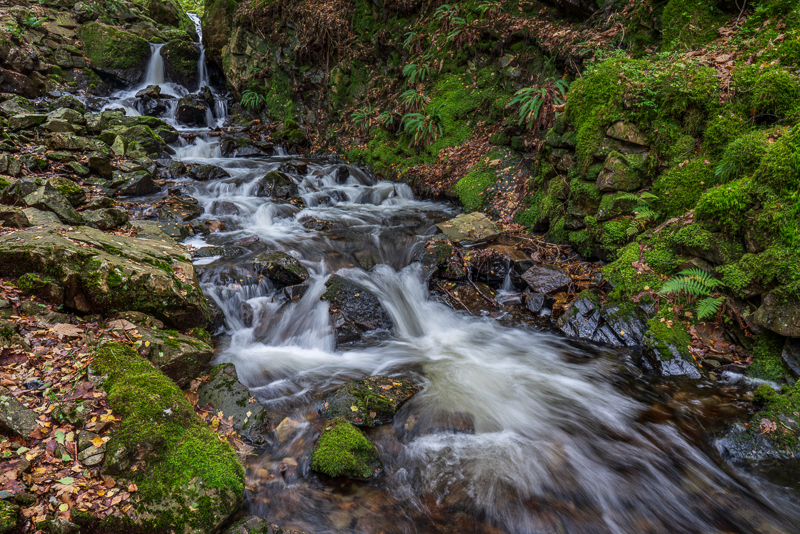 Falling from Tarn Hows - Lake District - October 2019