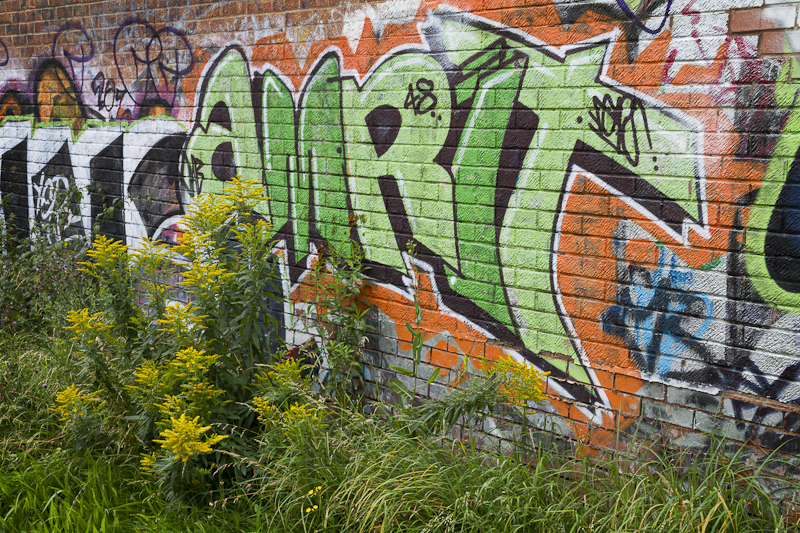 Amrit - Worcester Birmingham Canal