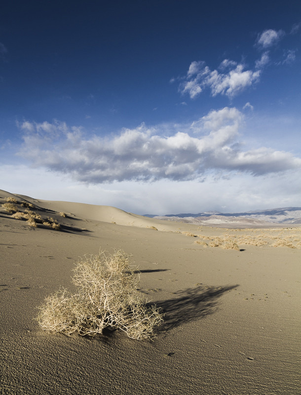 Death Valley Cloud - 01 - Away Skies