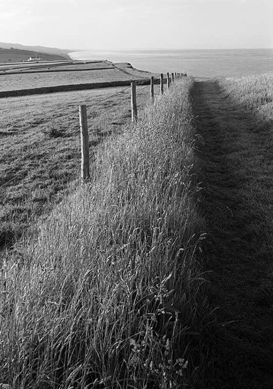1836 - Path to Chesil Beach - Images from England