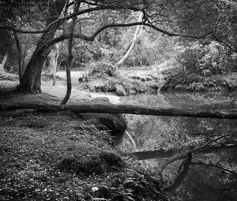 0496 - Beaulieu River - Images from England
