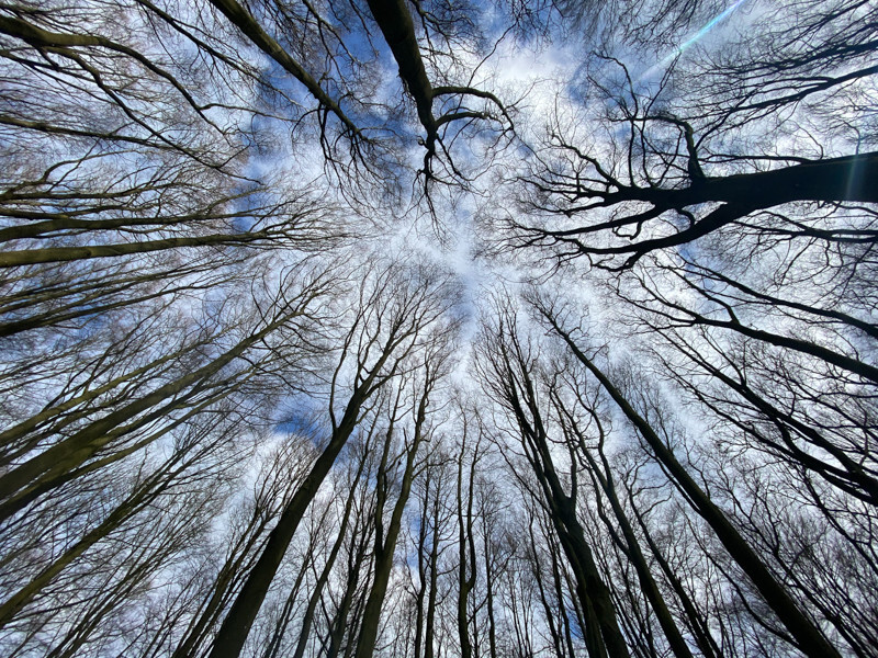 Converging Verticals - Whilst Out and About ...