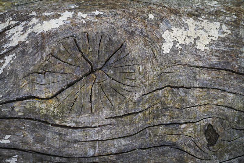 Knot - Worcester Birmingham Canal