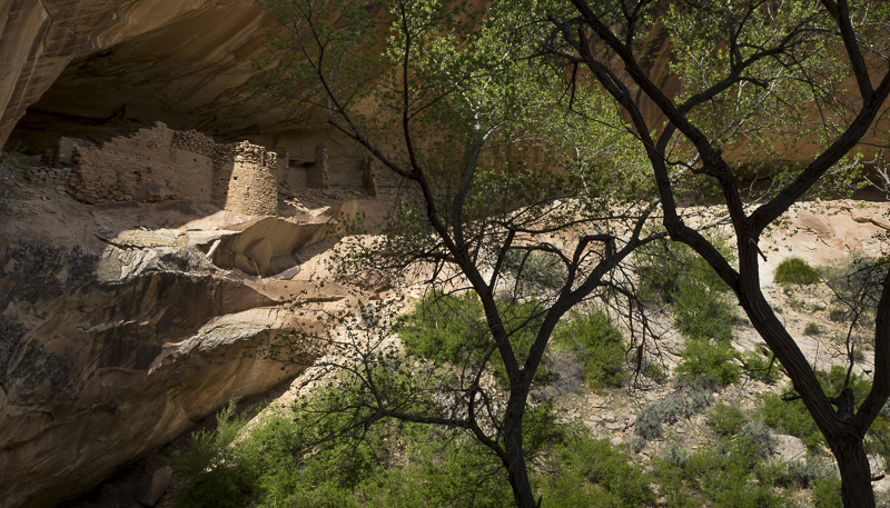 Ruins - USA - 2017 - CA, AZ, UT, CO, NM