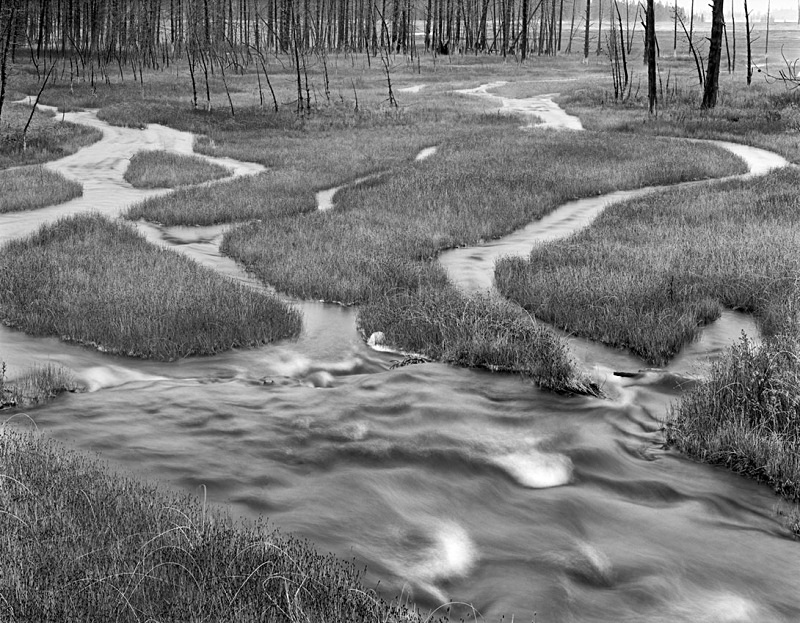1117 - Meandering - USA - 2005 - Yellowstone NP & the Tetons