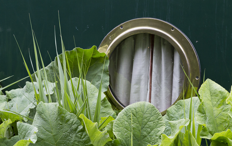 Porthole Leaves - Worcester Birmingham Canal