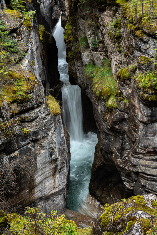 AB-Banff-Jasper-46 - Banff & Jasper NPs - September 2018