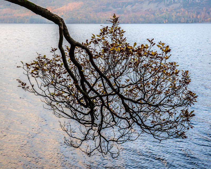 Oak Pendant - Lake District - Prior to mid 2019