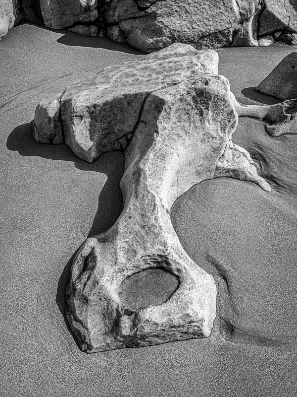 05-Mewslade - ARPS