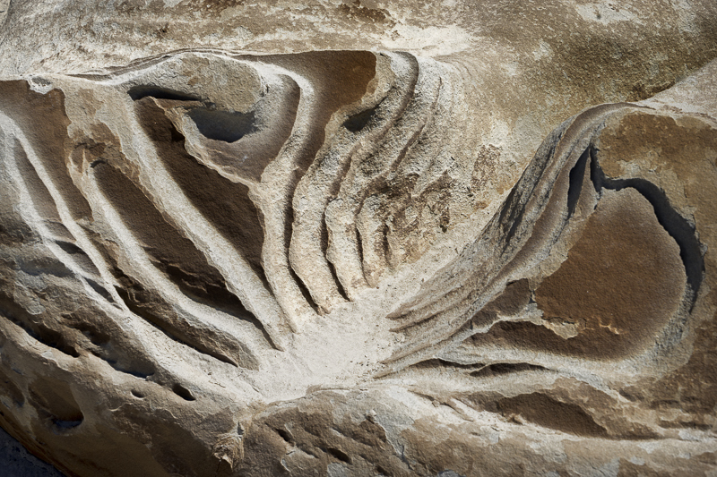 Bisti - Cracked Egg - USA - 2017 - CA, AZ, UT, CO, NM