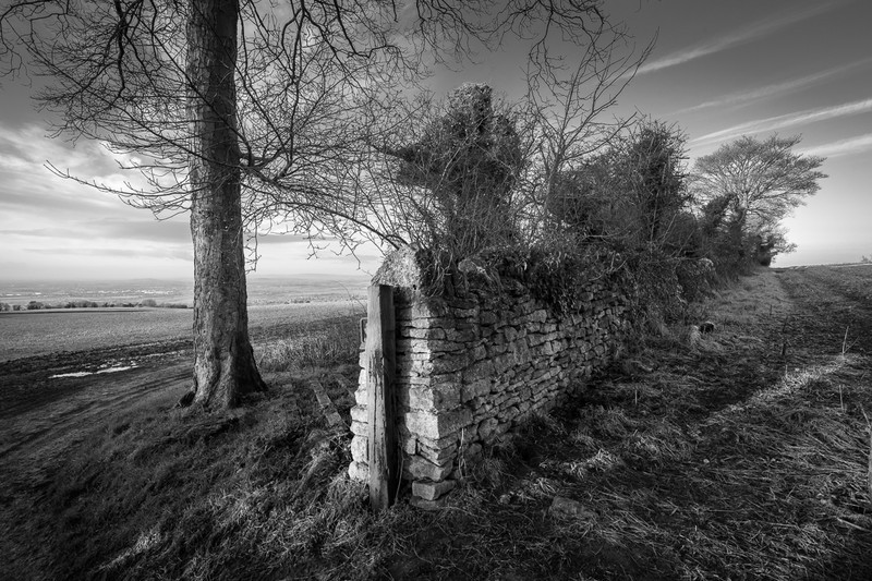 Day 5 - Tree and Wall - On Bredon Hill - 2016