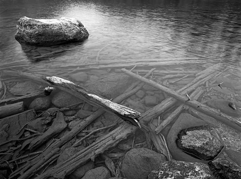 1172 - Leigh Lake Bottom - USA - 2005 - Yellowstone NP & the Tetons