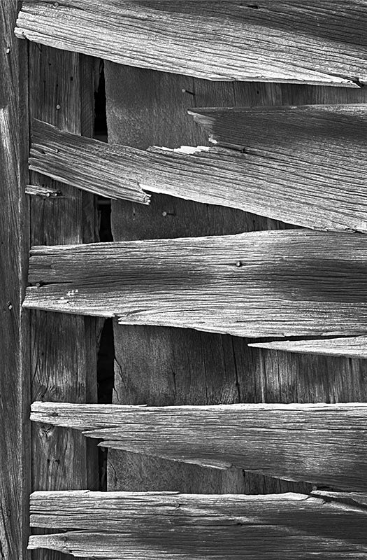2122 - Bodie Timbers - USA - 2009 - California, Nevada & Utah NPs