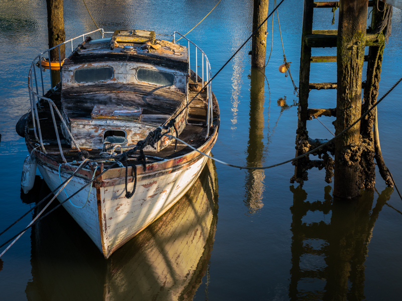 afloat bellingham