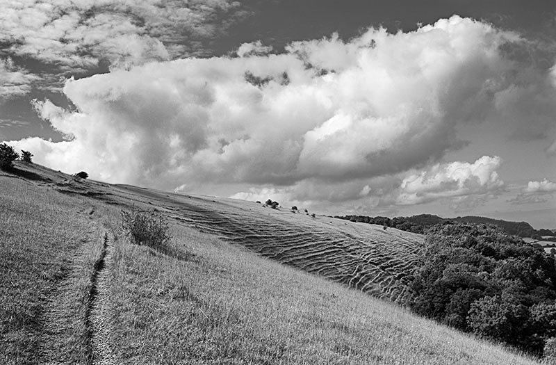 2196 - Selsley Common - The Cotswold Way - 2009