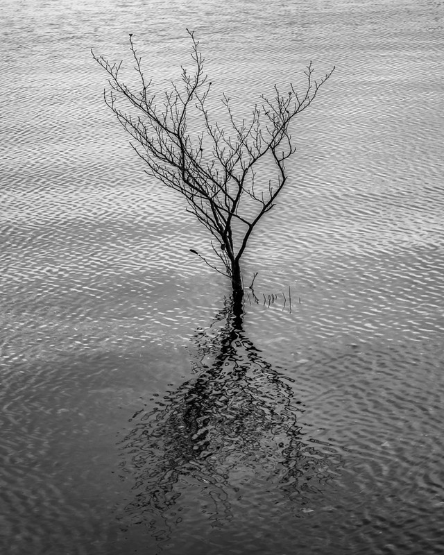 Reflections on Derwentwater - 03 - Lake District - Prior to mid 2019