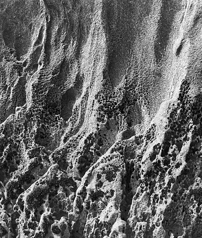 0102 - Musseled  Barnacled Rock Wall - Images from Wales