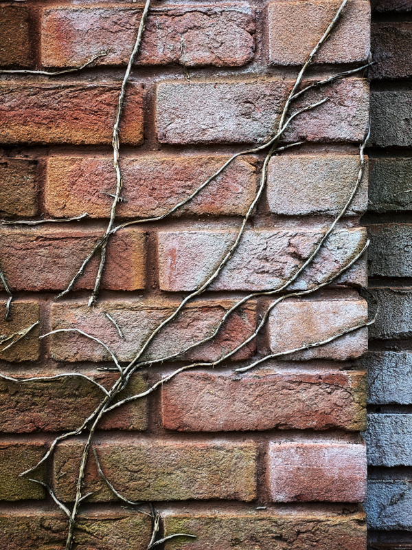 Clinging - Whilst Out and About ...