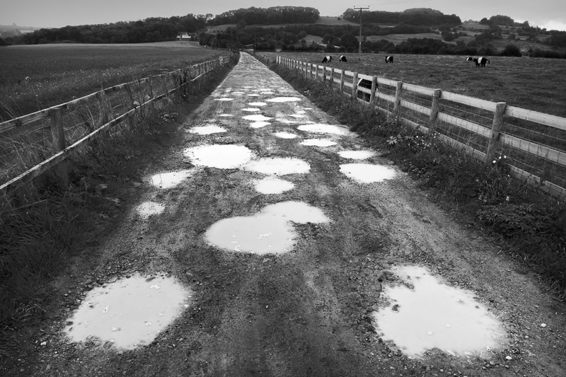 Day 3 - The Puddled Way - The Cotswold Way - 2017/8