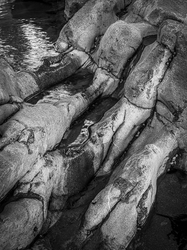 06-Mewslade - ARPS
