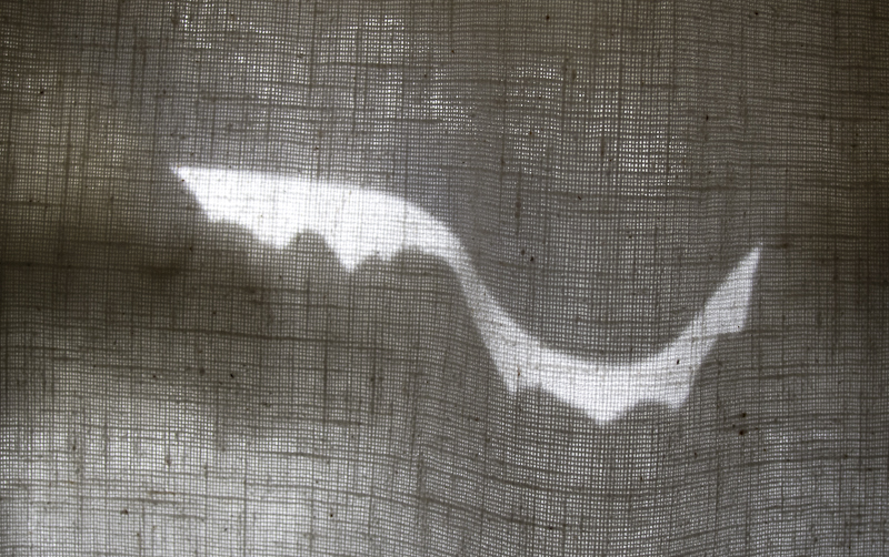 Drape Light - USA - 2011 - Arizona, New Mexico, Colorado, Utah