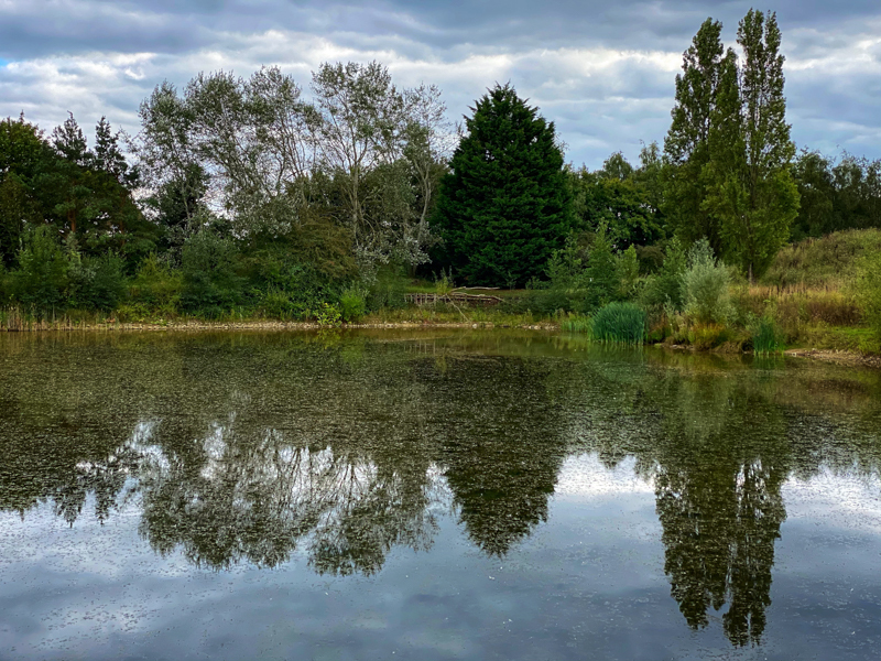 Reflected - Whilst Out and About ...