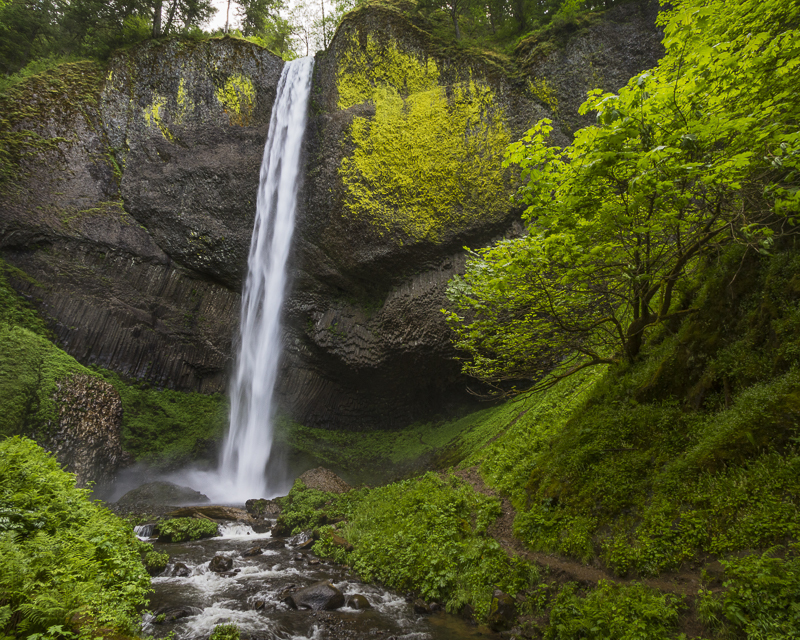 Latourell Falls - USA - 2014 - California, Oregon, Washington
