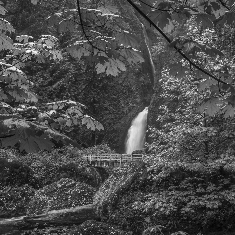 Bridge at Wahclella Falls - Mono - USA - 2014 - California, Oregon, Washington