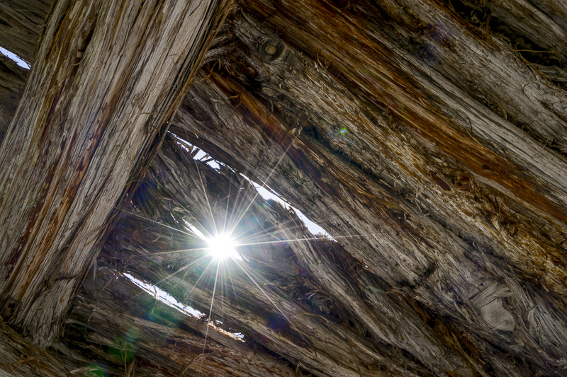 Roof Timbers - USA - 2017 - CA, AZ, UT, CO, NM