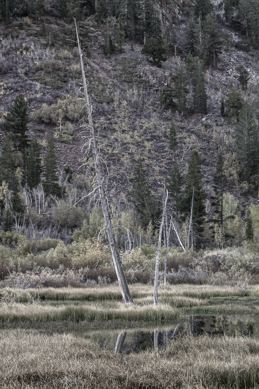 Eastern Sierras-26 - USA - 2012 - Eastern Sierras
