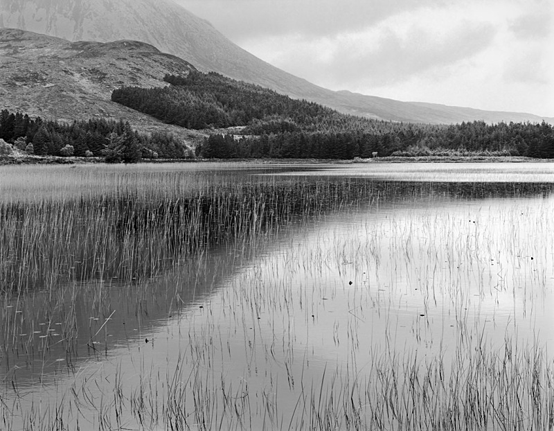 0900 - Reeds below Beinn na Caillach - Hebrides & Skye - 2004